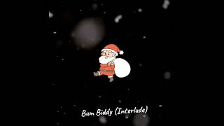 Bum Biddy Interlude Offical Visualizer [upl. by Llenwad]