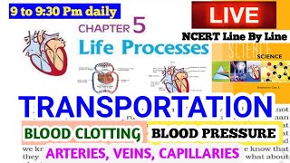 TRANSPORTATION  HUMAN BEINGS Blood ClottingBlood Pressure Blood Vessels NCERT Hindi Explanation [upl. by Becka]