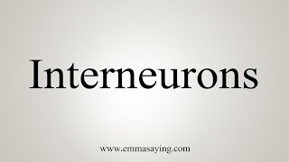 How To Say Interneurons [upl. by Lenahtan]