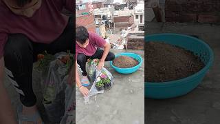 Planting More Winter Flowering Plants on my Terrace 😄🫶🌸 [upl. by Nabru]