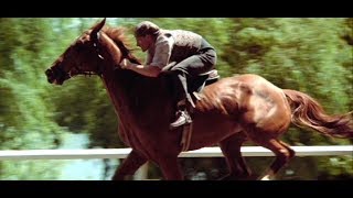 Bytes Phar Lap [upl. by Leinehtan]