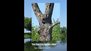 quotEin alter Baum steht an der Lippequot von Eugen Teigeler [upl. by Lenrad]