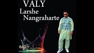 ValyLarsha Nangraharta موزیک ویدیوی جدید ولی حجازی لارشه ننگرهارته [upl. by Ahseinat]