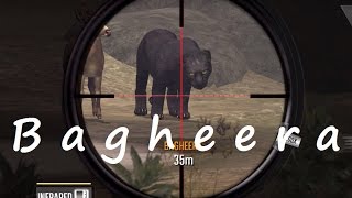 Deer Hunter 2017 Rifle Series Region 17 India Gameplay 4 [upl. by Vyky]