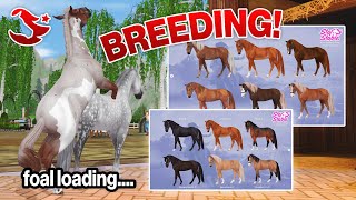 BREEDING IS FINALLY COMING TO STAR STABLE [upl. by Ellocin]