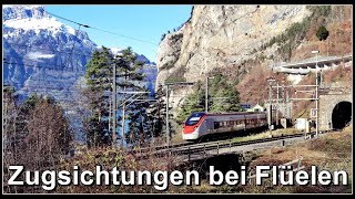 Wunderbare Zugsichtungen bei Flüelen am Urnersee Vierwaldstättersee [upl. by Prima]