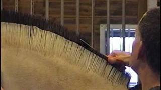 How To Cut a Norwegian Fjord Horse Mane  Part 2 of 2 [upl. by Aisatan]