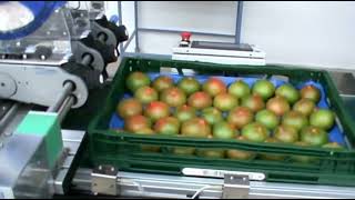 Produce labeling with Bizerba label dispenser LDI 20 [upl. by Devonna232]