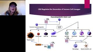 Cannabis as Immunonotherapy for 21st Century Acquired Immune Deficiencies [upl. by Kcirdahc]