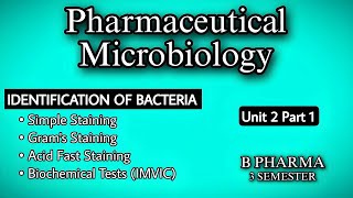 IDENTIFICATION OF BACTERIA  STAINING TECHNIQUE  BIOCHEMICAL TESTS  U2  MICROBIOLOGY  B PHARMA [upl. by Swanhildas]