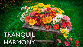 Nature’s Harmony – Soothe Your Mind with Piano and Flowers [upl. by Annoirb]