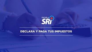 Video 5  DECLARA Y PAGA TUS IMPUESTOS [upl. by Aleibarg]