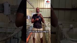 מלח באקווריום כן או לא אקווריום אקווריומים דרגלהרצוג חוותסנפירים דגינוי 089957774 [upl. by Lativa]