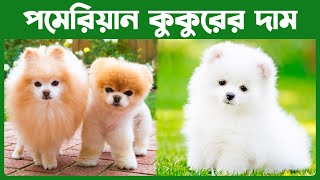 Pomeranian Dog Price in India 🐩 Pomeranian Dog Price in Bangladesh Teacup Puppies Price in bd [upl. by Hennie734]