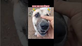 dog funny reels video 🤫Tamil funny video status 😊 trending reel video😊 status comedy🤪 [upl. by Eizus]