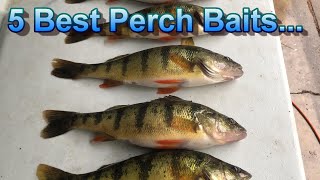 Perch Fishing Tips  The Only 5 Perch Baits That Matter [upl. by Nedah]