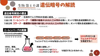 【高校生物】第40講「遺伝暗号の解読」ニーレンバーグとコラーナの実験 [upl. by Pacifa228]