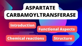 Aspartate Carbamoyltransferase  Aspartate transcarbamoylase  Enzymology [upl. by Prunella158]