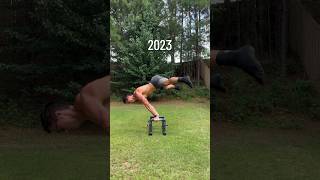 20172023 Planche Transformation calisthenics [upl. by Maitland]