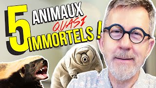 5 animaux quasi immortels  TOP 5 [upl. by Schwenk]