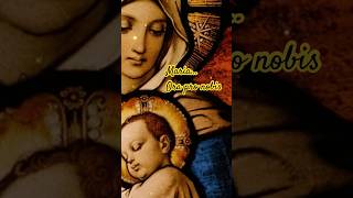 Ave Maria Mater Dei ora pro nobis Ave Maria Mother of God pray for us soothingmusic shorts [upl. by Hsu]