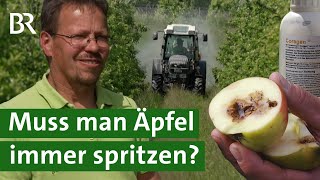 Pflanzenschutz im Obstbau Muss man Äpfel Birne amp Co immer spritzen  Pestizide  Unser Land  BR [upl. by Elah]