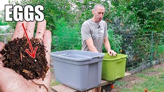 How to Make a Worm Composting Bin Quick Simple and Inexpensive Gardening [upl. by Snej902]