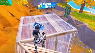 31 Kill Solo Squad VICTORY ROYALE 🤩 Full Gameplay Fortnite Chapter 4 [upl. by Hassin]