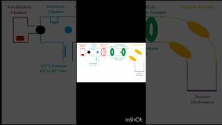 Mass Spectroscopy Animation animation massspectrometry [upl. by Lidia332]