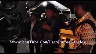 Los Canelos De Durango  El Grande De Chinola En VIvo Tuba Fp Del Mochomo [upl. by Annoyed715]