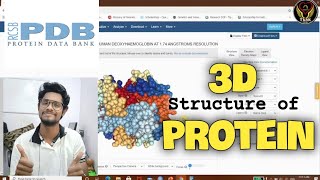 3D Structure of Protein  Protein Data BankPDB  Tamil  Bioinformatics  Biology  ThiNK VISION [upl. by Scopp657]