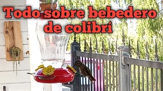 Como hacer colibrí pequeño en mostacilla paso a paso Aniara Sanarte [upl. by Ailec]