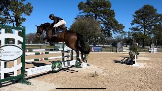 Heinseck  For Sale  Aiken Jumping Show  Feb ‘24 [upl. by Yanrahs]