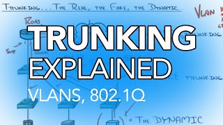 What is Trunking in Networking [upl. by Euf]