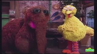 সিসিমপুর Sesame Street  Best Friends Bengali [upl. by Linis]