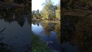 This is The Rock kinderhook Creek Kinderhook New York [upl. by Korenblat]