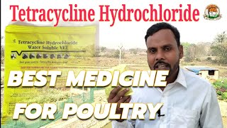 Tetracycline Hydrochloride best for poultry [upl. by Dnomsed282]