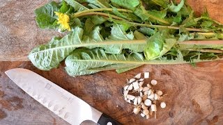 How to harvest prepare and use dandelion leaf and root for beauty and health [upl. by Wyly]