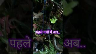 बारिश में भी मुझे तुम ही याद आए 🤔 Rainyseasontip shortvideo [upl. by Eizus]