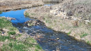 Hanson Ranch Creekside Trail Walking Tour [upl. by Manbahs677]