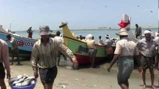 Merchant vessel splits in two off Yemeni coast [upl. by Aihsoem180]