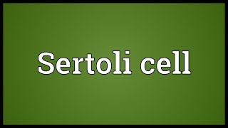 Sertoli cell Meaning [upl. by Anile]