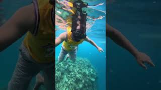 Snorkeling Maafushi Island Maldives MaldivesTour Maldivestourism travelVlog [upl. by Doralia]