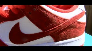 Nike SB Valentines Dunk Low Premium  Review  On Feet [upl. by Gretal786]