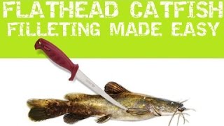 Flathead Catfish Filleting made easy [upl. by Adlesirc]