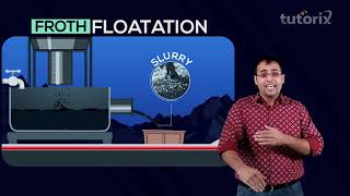 Class 12 Chemistry  Froth Floatation Process [upl. by Etterual]