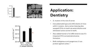 Yussef Duzdar Biochemistry ProjectLactoferrin [upl. by Jueta404]