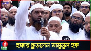 অন্তর্বর্তী সরকারের উদ্দেশে যা বললেন মাওলানা মামুনুল হক  Mamunul Haque  Banglavision News [upl. by Simpson27]