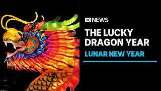 Lunar New Year 2024 What does the year of the dragon mean  ABC News [upl. by Repsihw]