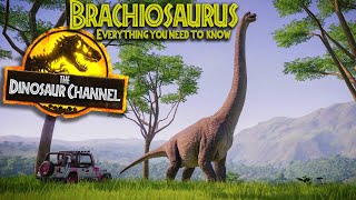 What Was The Brachiosaurus  The Dinosaur Channel [upl. by Knighton]